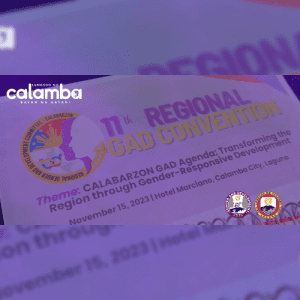 11TH REGIONAL GAD CONVENTION - thumbnail