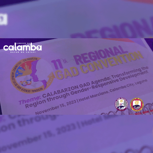 11TH REGIONAL GAD CONVENTION - thumbnail